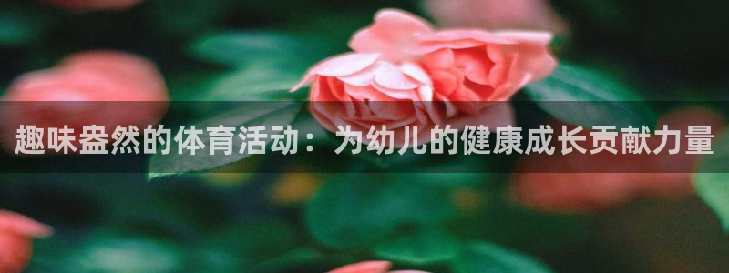 中欧体育官网