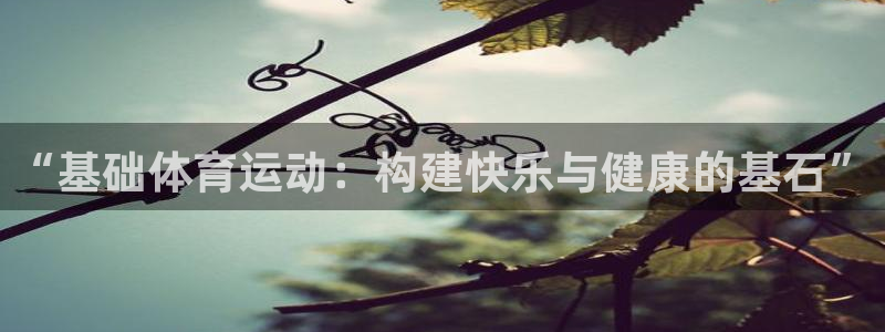 zyty中欧体育平台