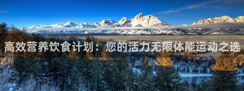 zoty中欧体育平台