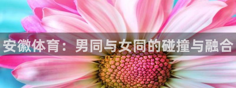 zoty中欧体育