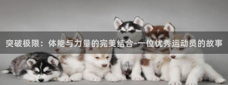 zoty中欧体育