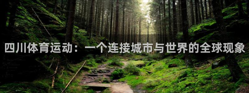 中欧体育集团