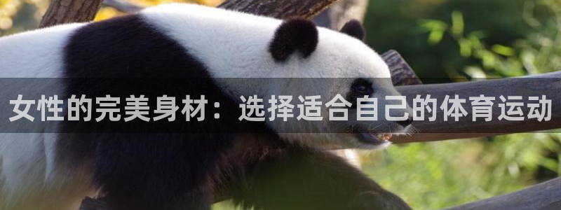 kok新版中欧体育