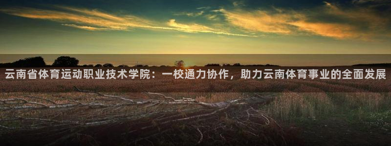 中欧体育下载