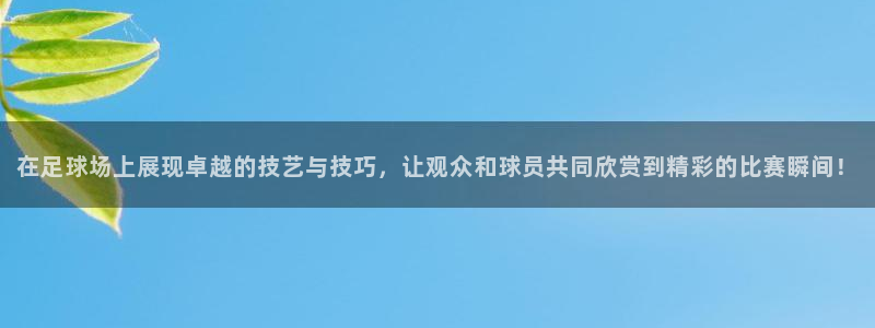 中欧体育官网