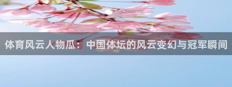中欧体育官网入口