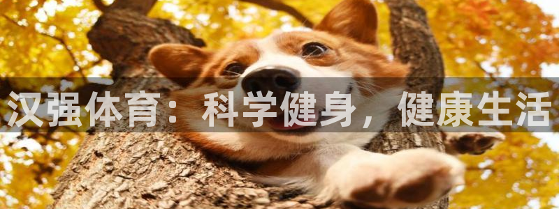 中欧体育