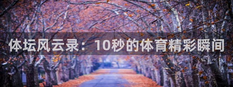 zoty中欧体育