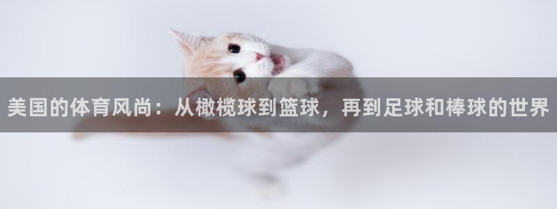 中欧体育网址