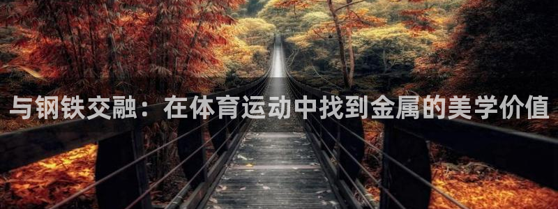 中欧体育集团
