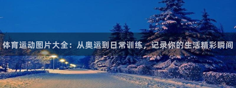 kok中欧体育登录