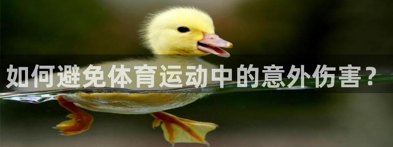 中欧体育zoty下载