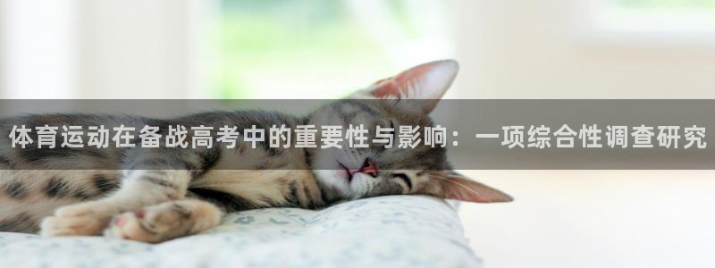 中欧体育最新地址