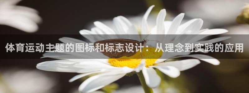 中欧体育官网